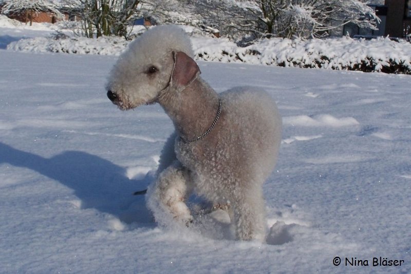 Svet 2008-01-05 (13).JPG